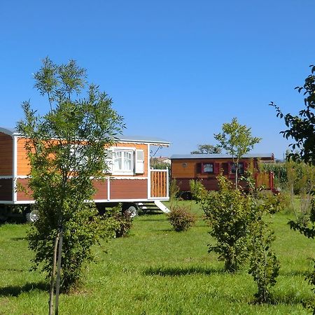 Les Roulottes-Gites De La Ferme De L'Autruche Dromoise Livron-sur-Drôme Eksteriør billede